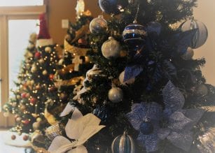 Christmas events tour of trees